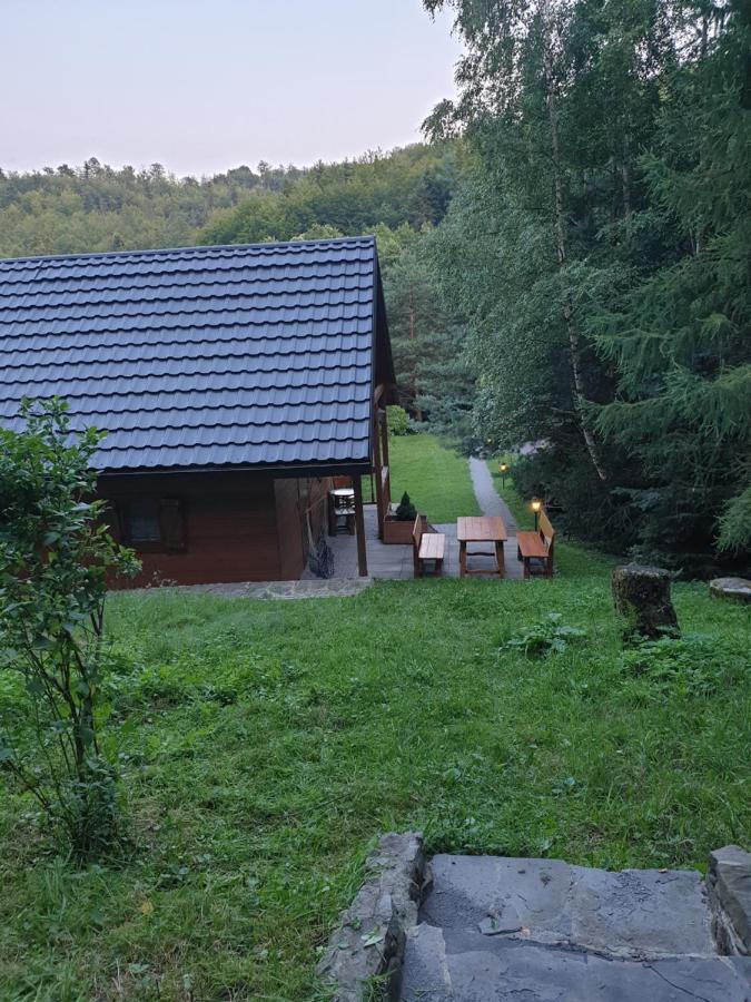 Domki Letniskowe Pod Lasem Koziniec Екстер'єр фото